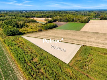 Działka przy lesie