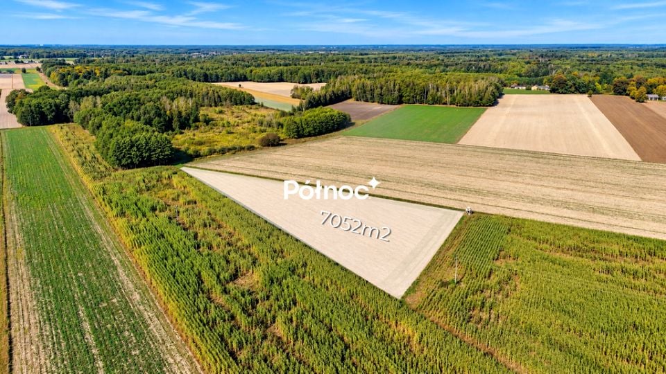 Działka przy lesie