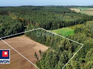 Działka leśna Mienice