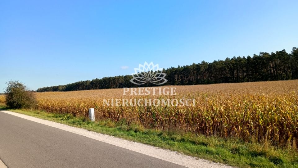 Działka budowlana Ojrzanowo
