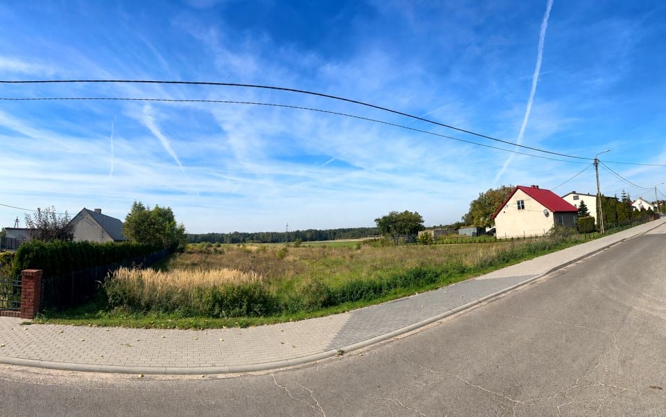 Działka przy lesie