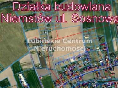Działka Niemstów