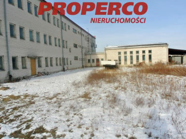 Budynek użytkowy Jędrzejów