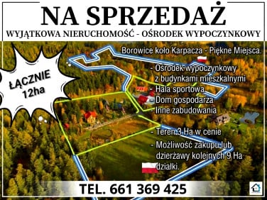 Budynek użytkowy Borowice