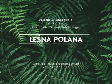 Działka inna Charzyno