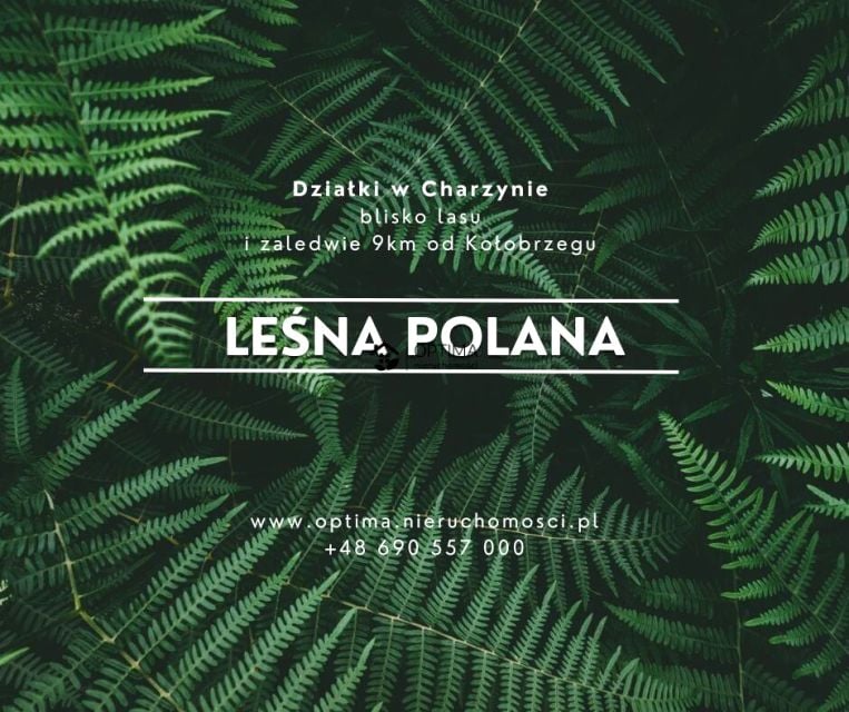 Działka inna Charzyno