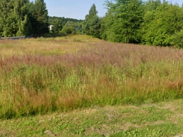 Działka budowlana Zagnańsk