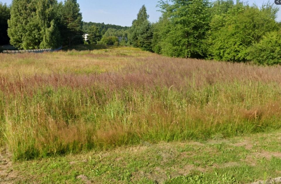 Działka budowlana Zagnańsk