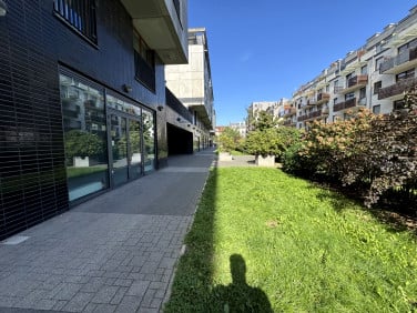 Lokal Kraków