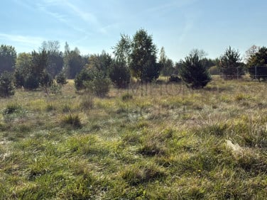 Działka inna Budy Augustowskie