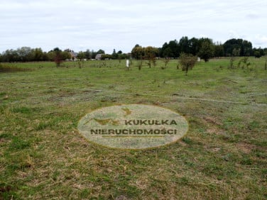 Działka Borek