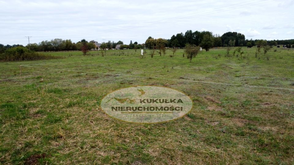 Działka Borek