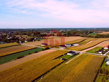 Działka budowlana Borek Wielki