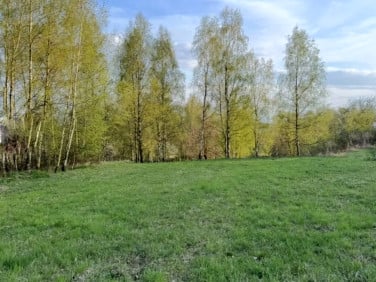 Działka budowlana Mikołów