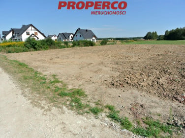 Działka Lisów