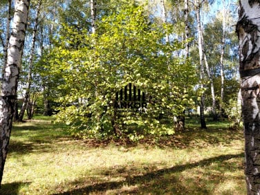 Działka inna Rydułtowy