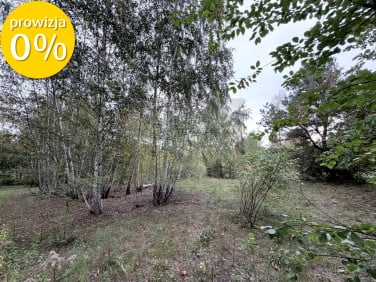 Działka budowlana Sierzchów