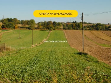 Działka budowlana Brzezie