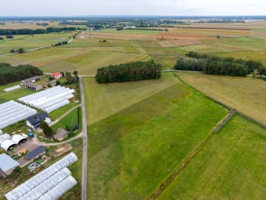 Działka siedliskowa Wrzos