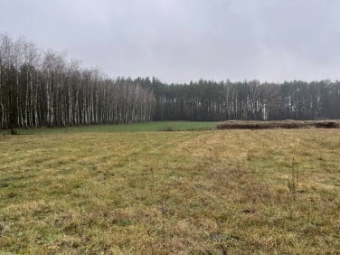 Działka budowlana Sieraków