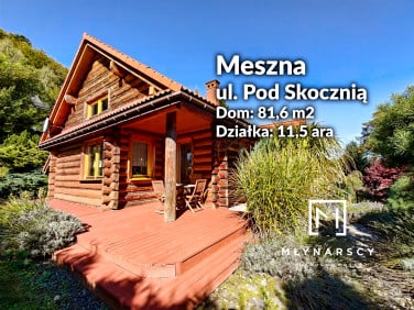 Dom Meszna