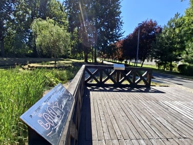 Mieszkanie Chorzów