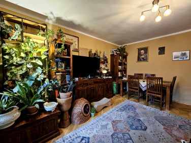 Mieszkanie Toruń