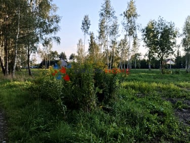 Działka budowlana Krupia Wólka