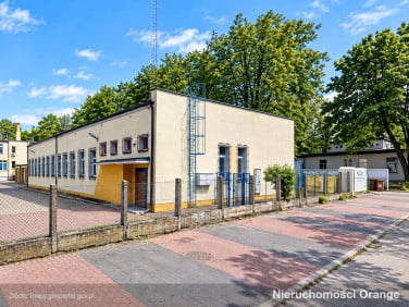 Lokal Hajnówka