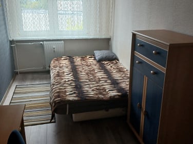 Pokój 1-osobowy Toruń