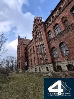 Lokal Pszczyna