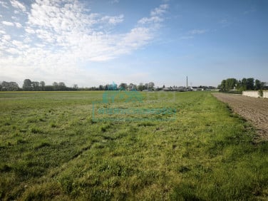 Działka budowlana Rząśnia