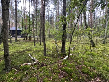 Działka Nowy Adamów