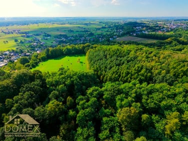 Działka leśna Bełsznica