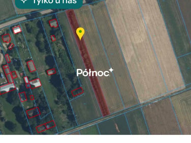 Działka Popławy