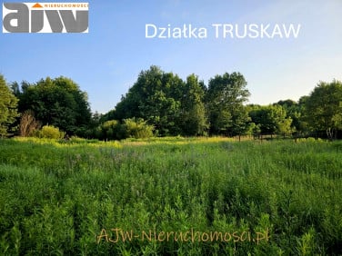 Działka budowlana Truskaw