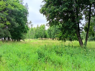 Działka Przykop