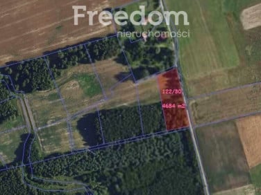 Działka przy lesie