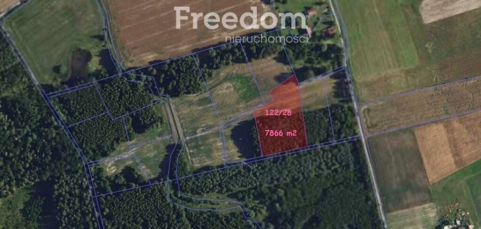 Działka przy lesie