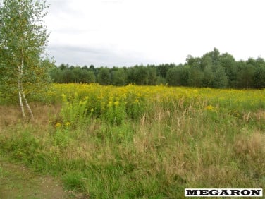 Działka usługowa Wola Mokrzeska