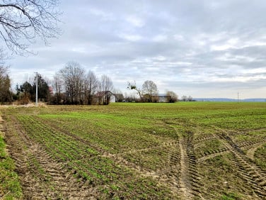 Działka Malbork