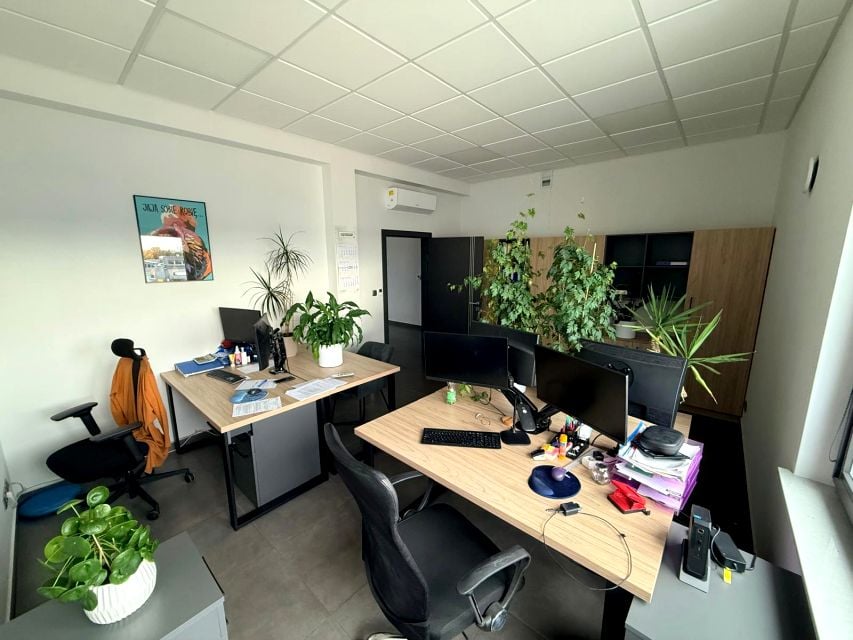 Lokal Opole