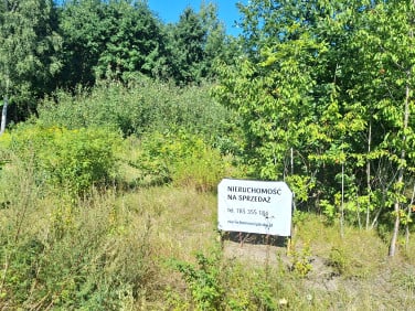 Działka budowlana Wołomin