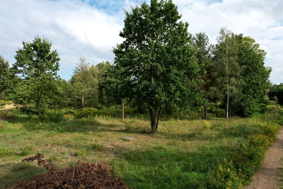 Działka budowlana Błonie