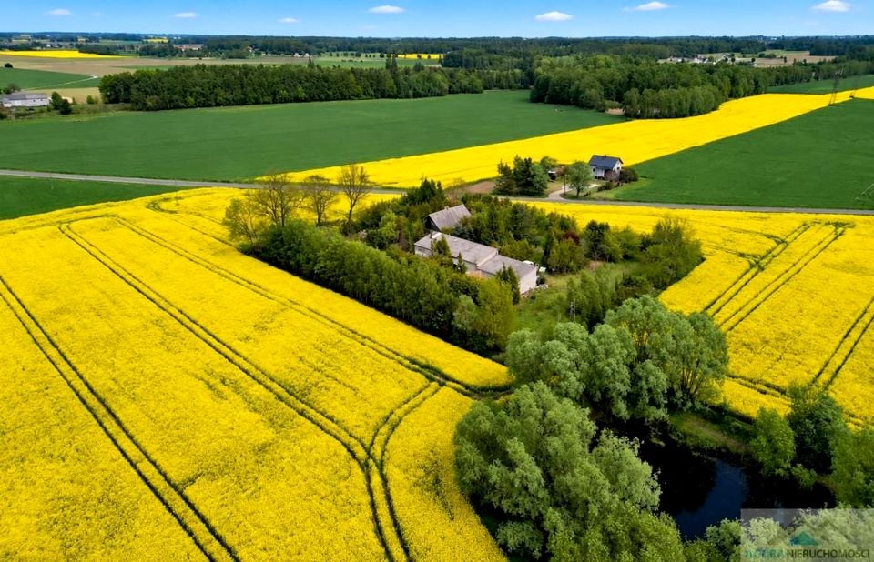 Działka Nowe Proboszczewice