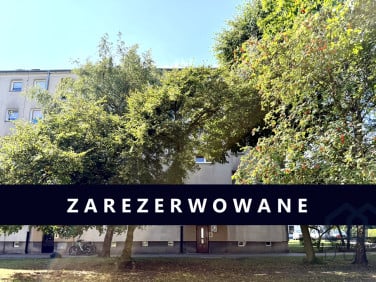 Mieszkanie Mosina