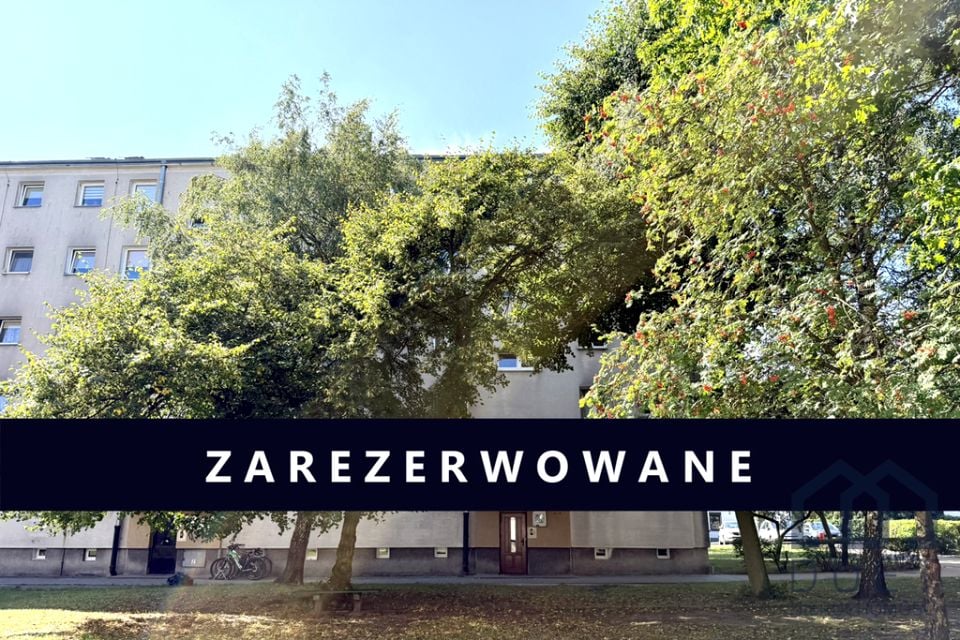 Mieszkanie Mosina