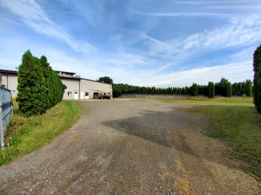 Lokal Wieprz