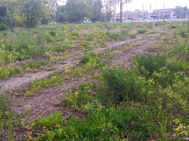 Działka usługowa Dąbrowa Górnicza