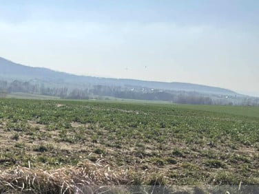 Działka siedliskowa Mysłaków